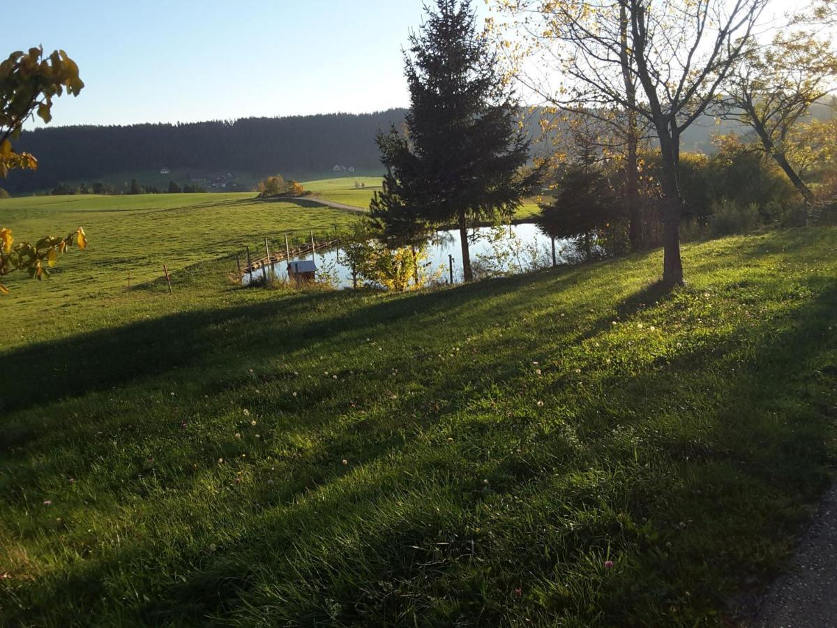 Ferienhof Kienbronnerhof 쉴타크 외부 사진